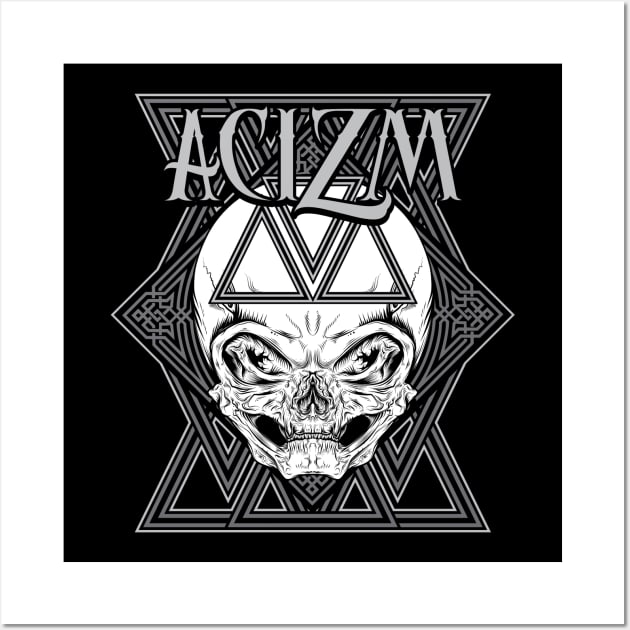 Acizm Alien Skull Wall Art by arran